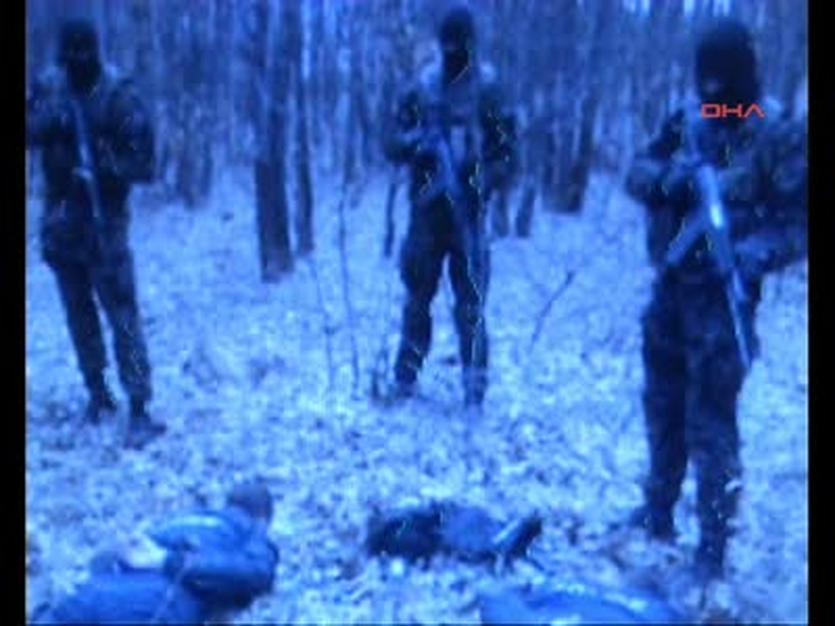 Sırplar, Kosova Polisini Gözaltına Aldı