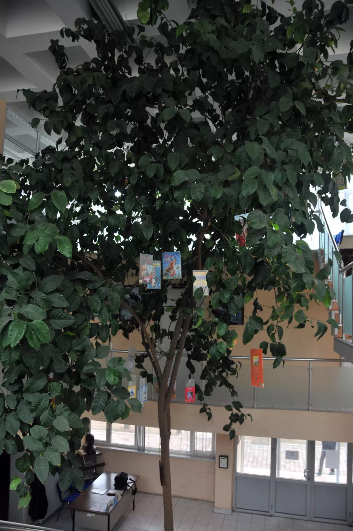 Kütüphanedeki Limon Ağacı 'Kitap' Açtı