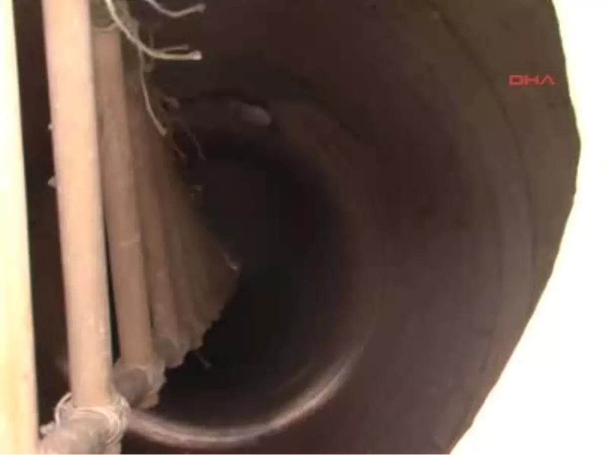 Kuyuya Düşen Keçi 1 Gün Sonra Kurtarıldı