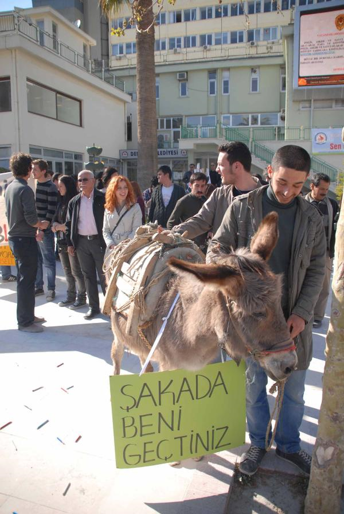 Tgb\'lilerden Eşekli Eylem