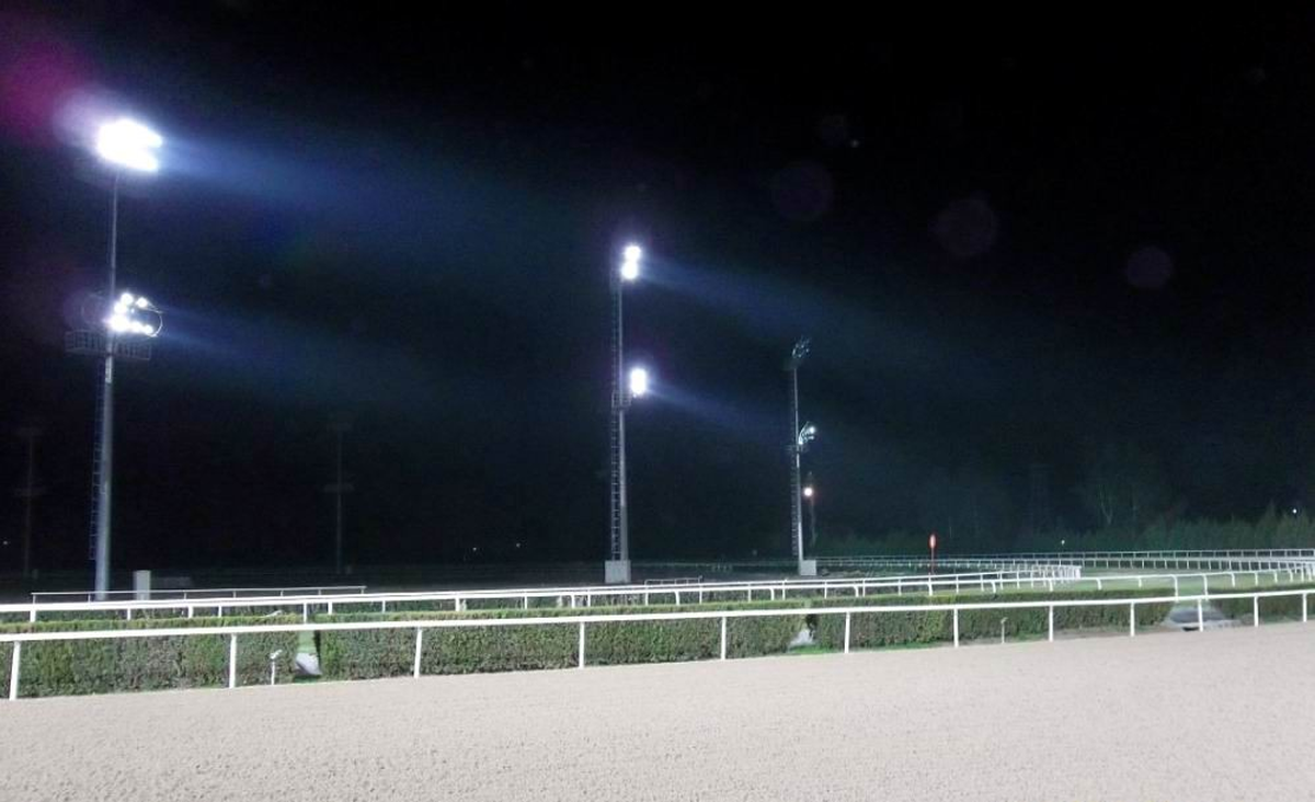 Adana Hipodromu'nda Gece Yarışları Yarın Başlıyor