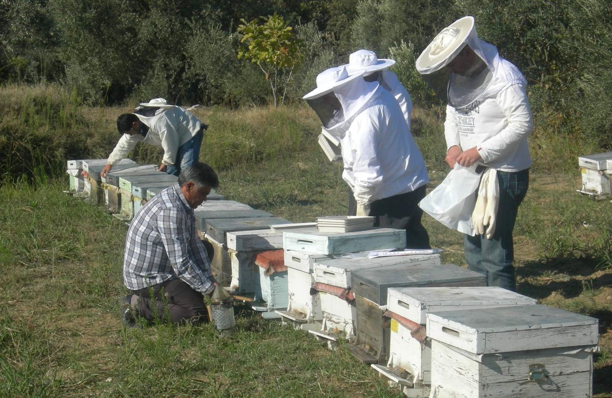 Arıcılık Yönetmeliğinde Değişiklik Yapıldı