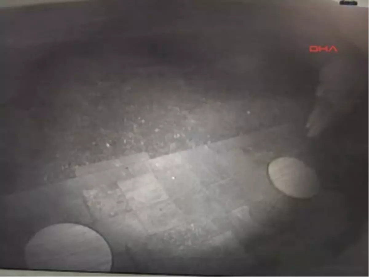 Boş Bira Fıçılarını Çaldı