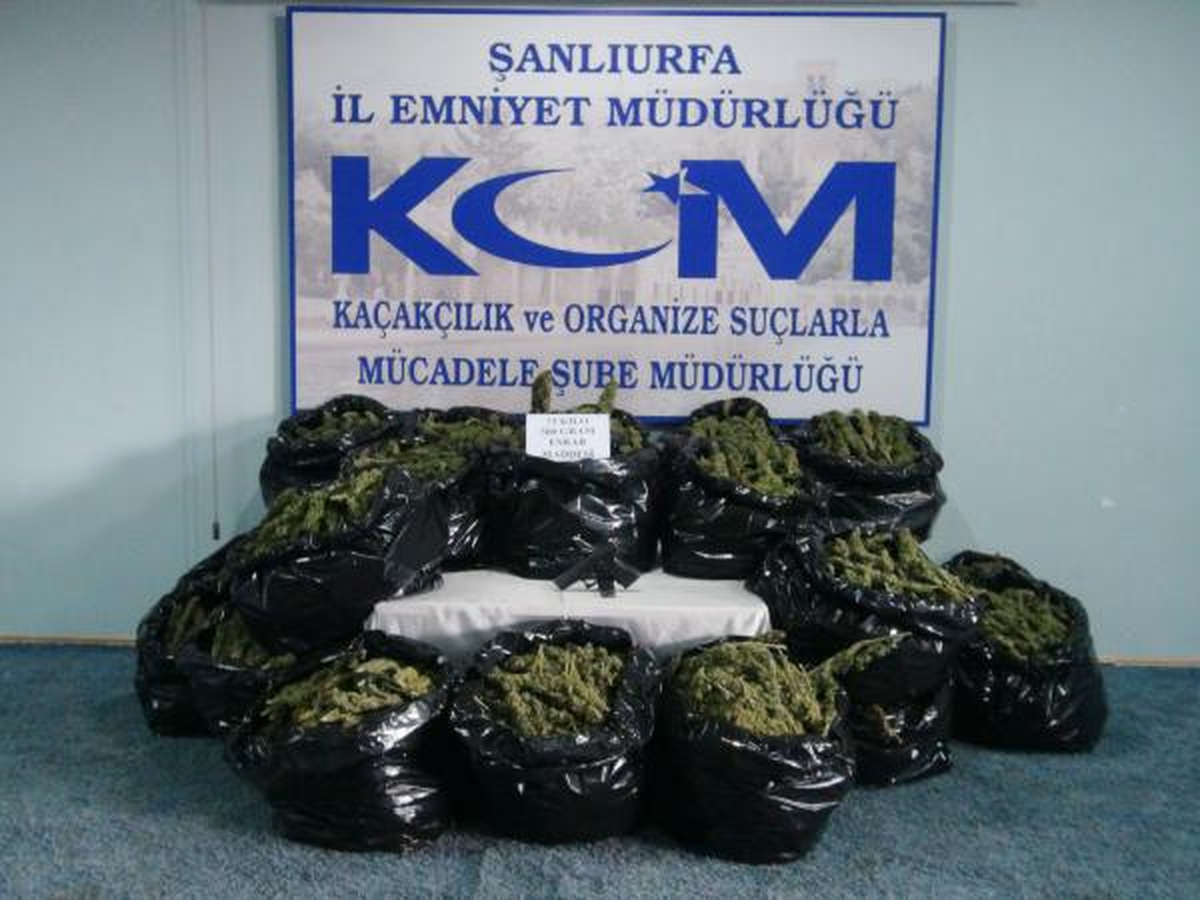 Şanlıurfa\'da 73 Kilo Esrar Ele Geçirildi