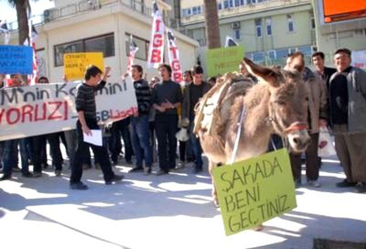 YGS\'ye Eşekli Protesto