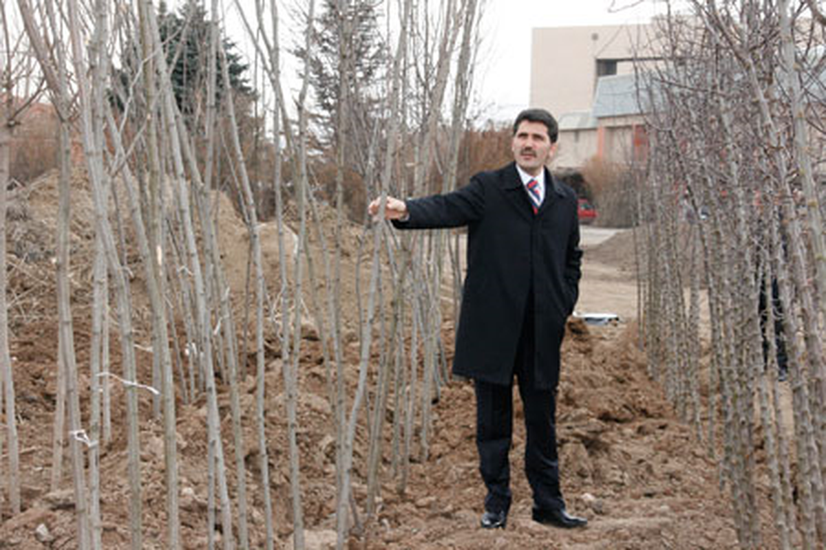 2012 Yılında Kent Merkezine 7 Bin Fidan