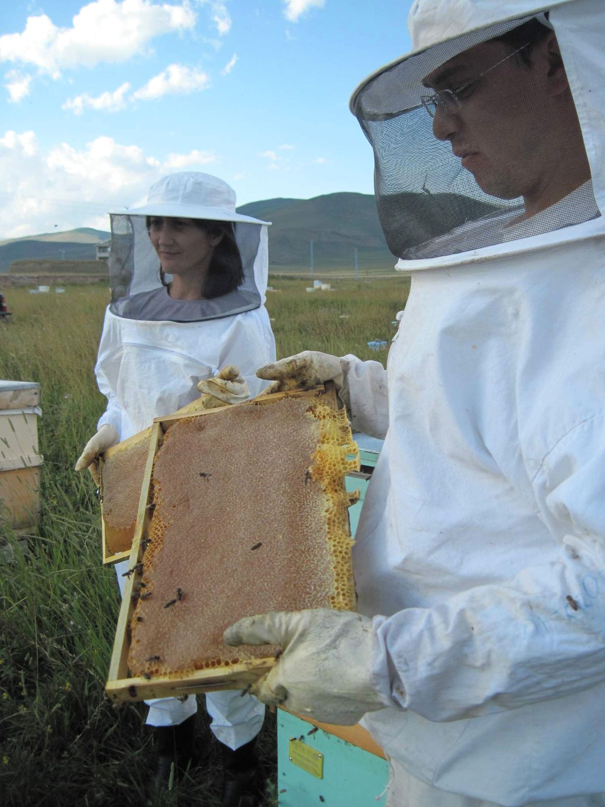 Arıcılar Mısır Şurubu Üretimine Denetim İstiyor