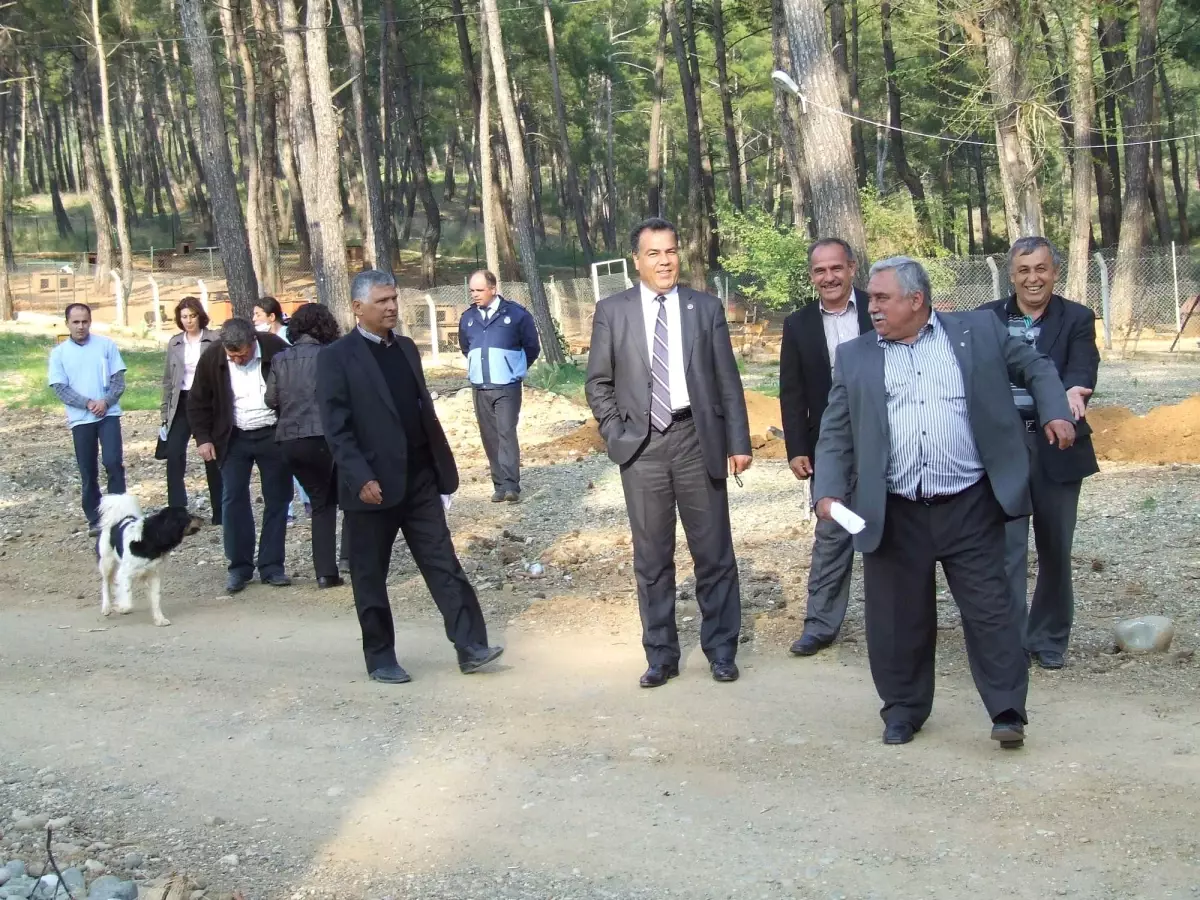 Başkan Yılmaz ve Meclis Üyelerindan Hayvan Barınağına Ziyaret