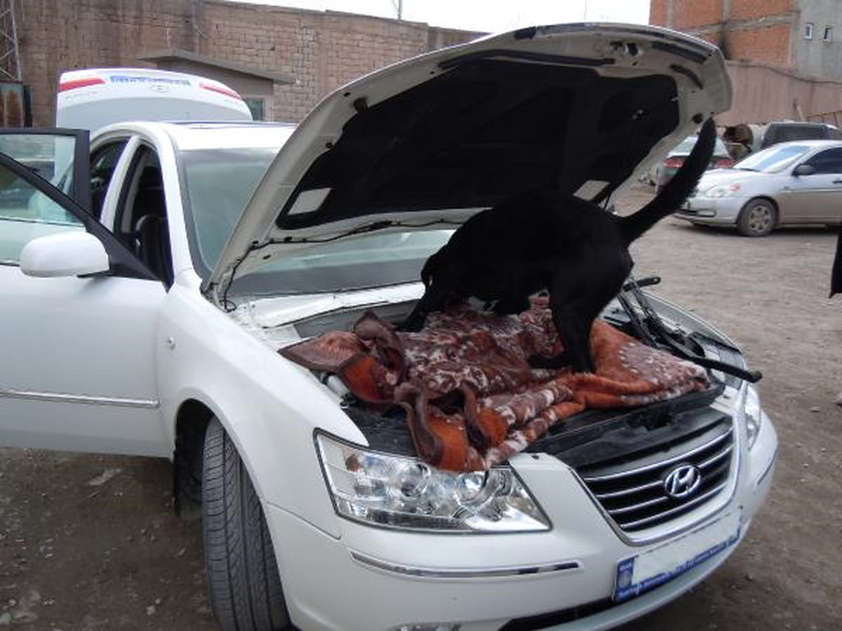 'Çapkın' Otomobilde Gizlenen 20 Kilo 652 Gram Eroini Buldu