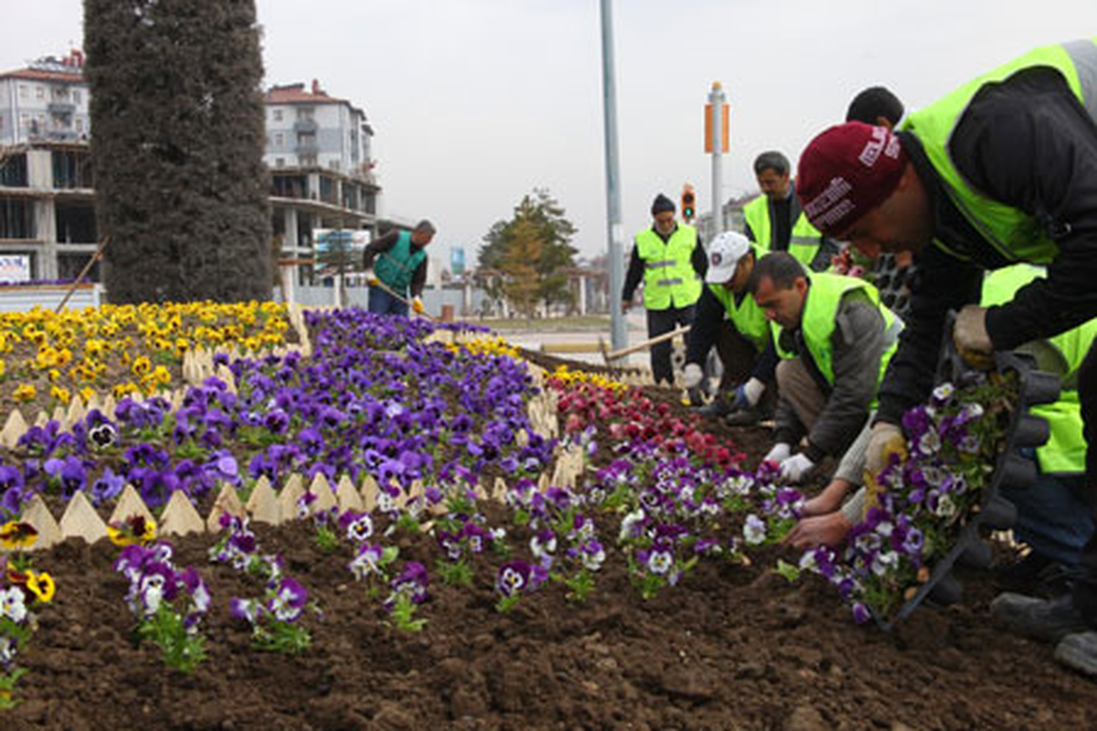 Elazığ Şimdi Rengârenk