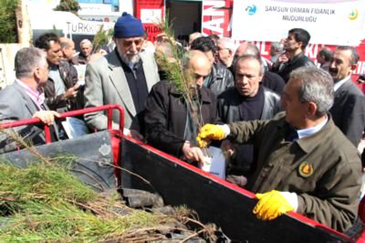 Fidanı Aldılar, Kan Vermeye Yanaşmadılar