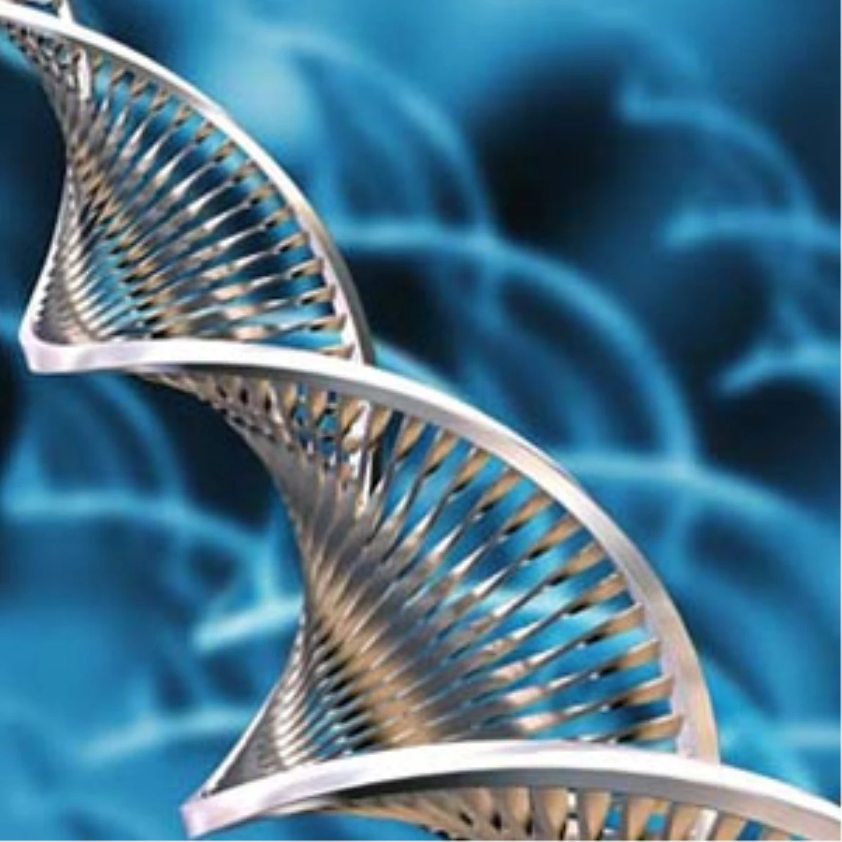 Gen Haritası, Hastalık Riskini "Önceden Belirlemeyi" Sağlamıyor