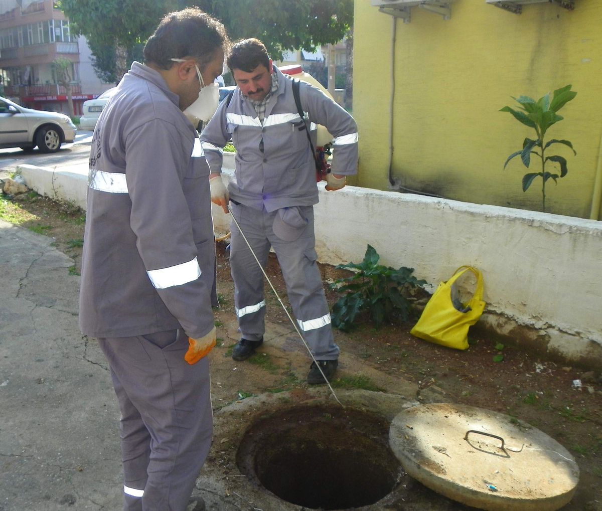 Hamam Böcekleriyle Etkili Mücadele