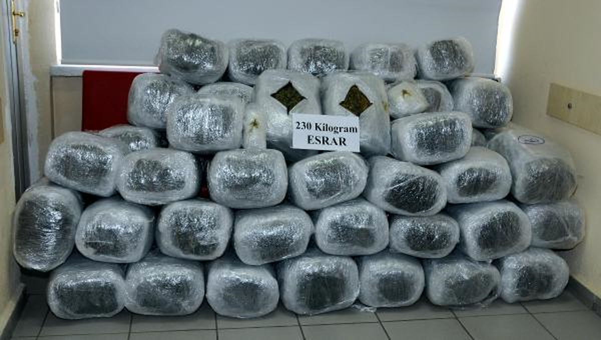 Kayseri\'de 230 Kilo Esrar Ele Geçirildi; 4 Gözaltı