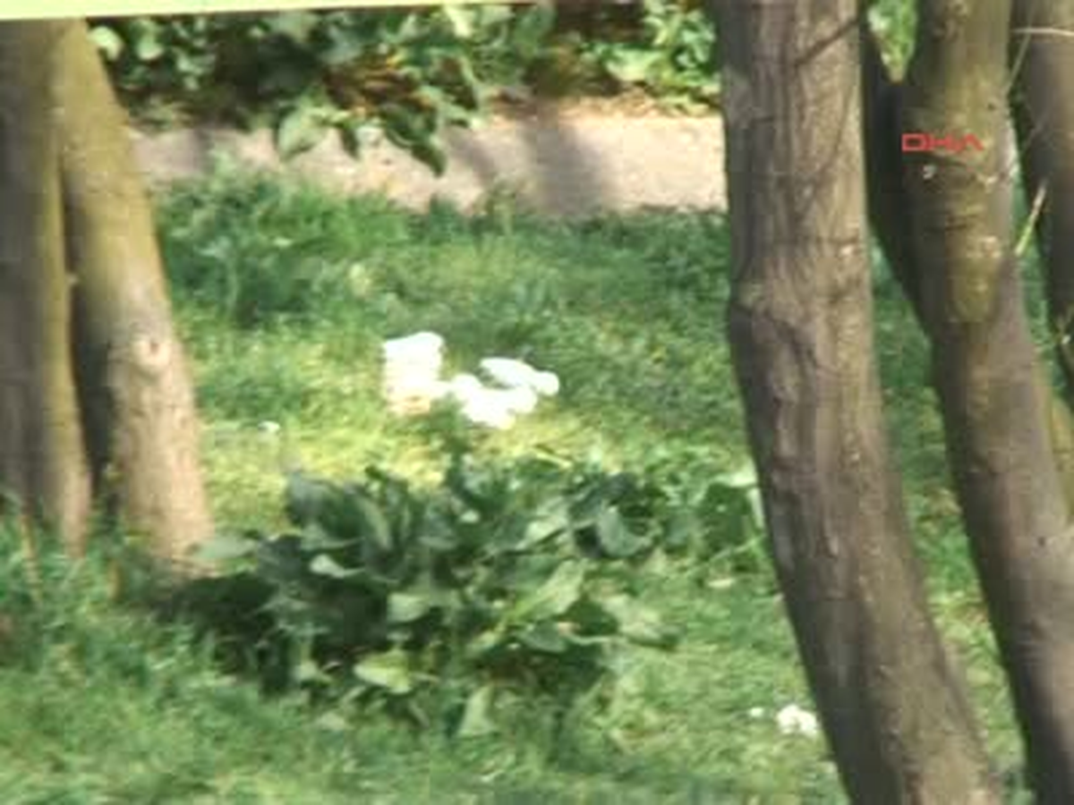 Okmeydanı Metrobüs Durağı Yanında Bomba Bulundu