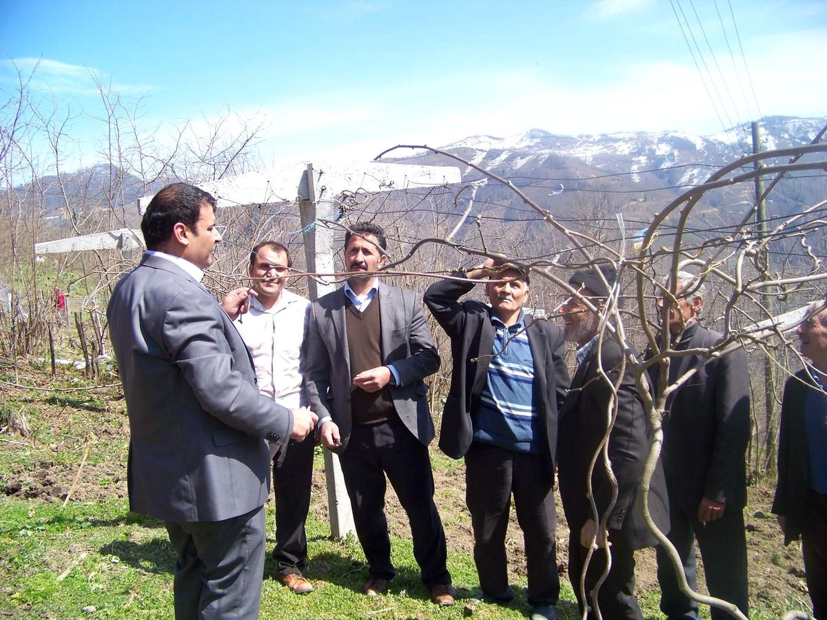 Ordu'da Çiftçi Eğitim Çalışmaları Hız Kazandı