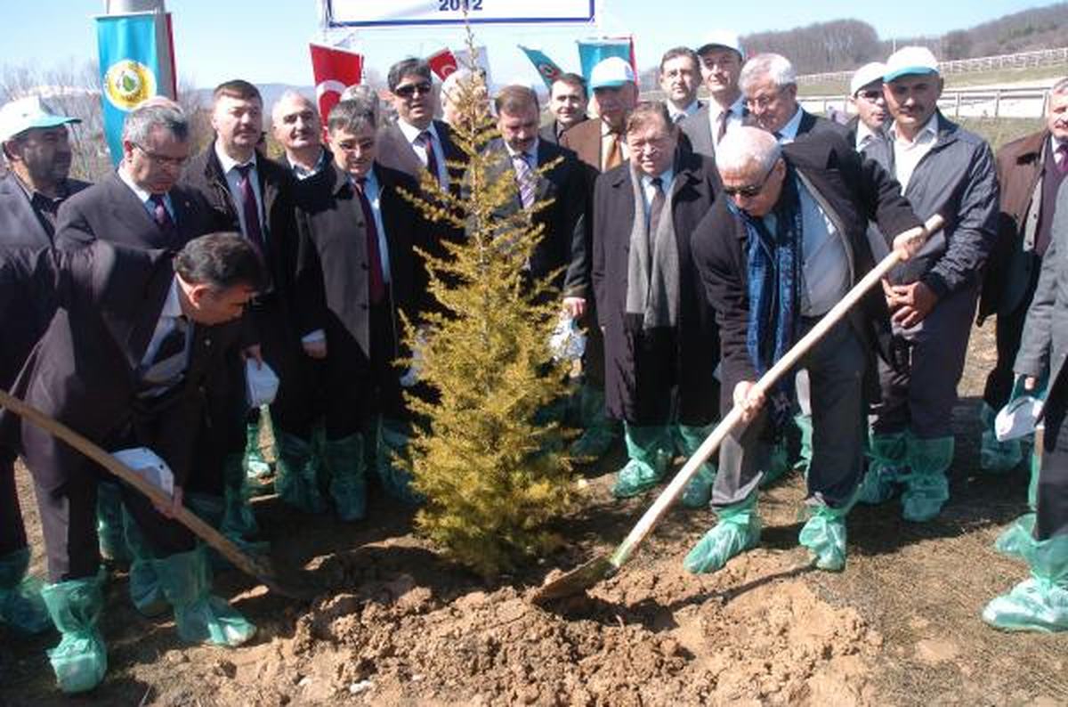 Orman Genel Müdürü Kurtulmuşlu: Orman Yangınlarına Karşı Önlemleri Aldık
