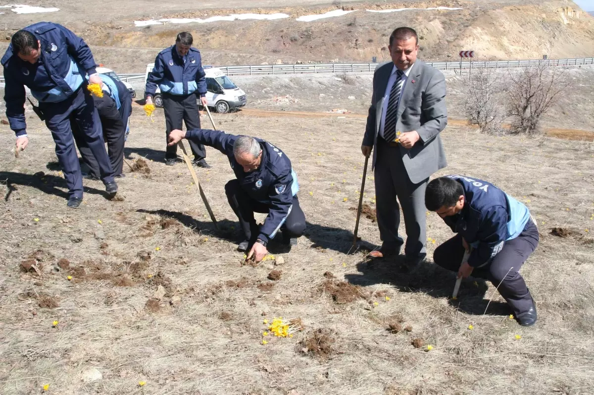 Seyyar Satıcıların Korkulu Rüyası Zabıtalar Yozgat'ta Çiğdem Söktü