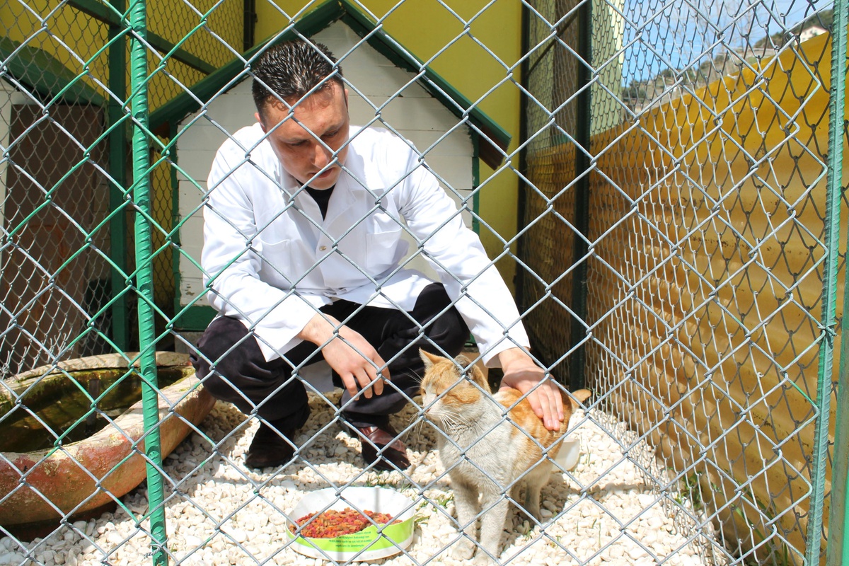 Sokak Hayvanları Rehabilitasyon Merkezi\'nde 2 Bin 965 Tıbbi İşlem Yapıldı