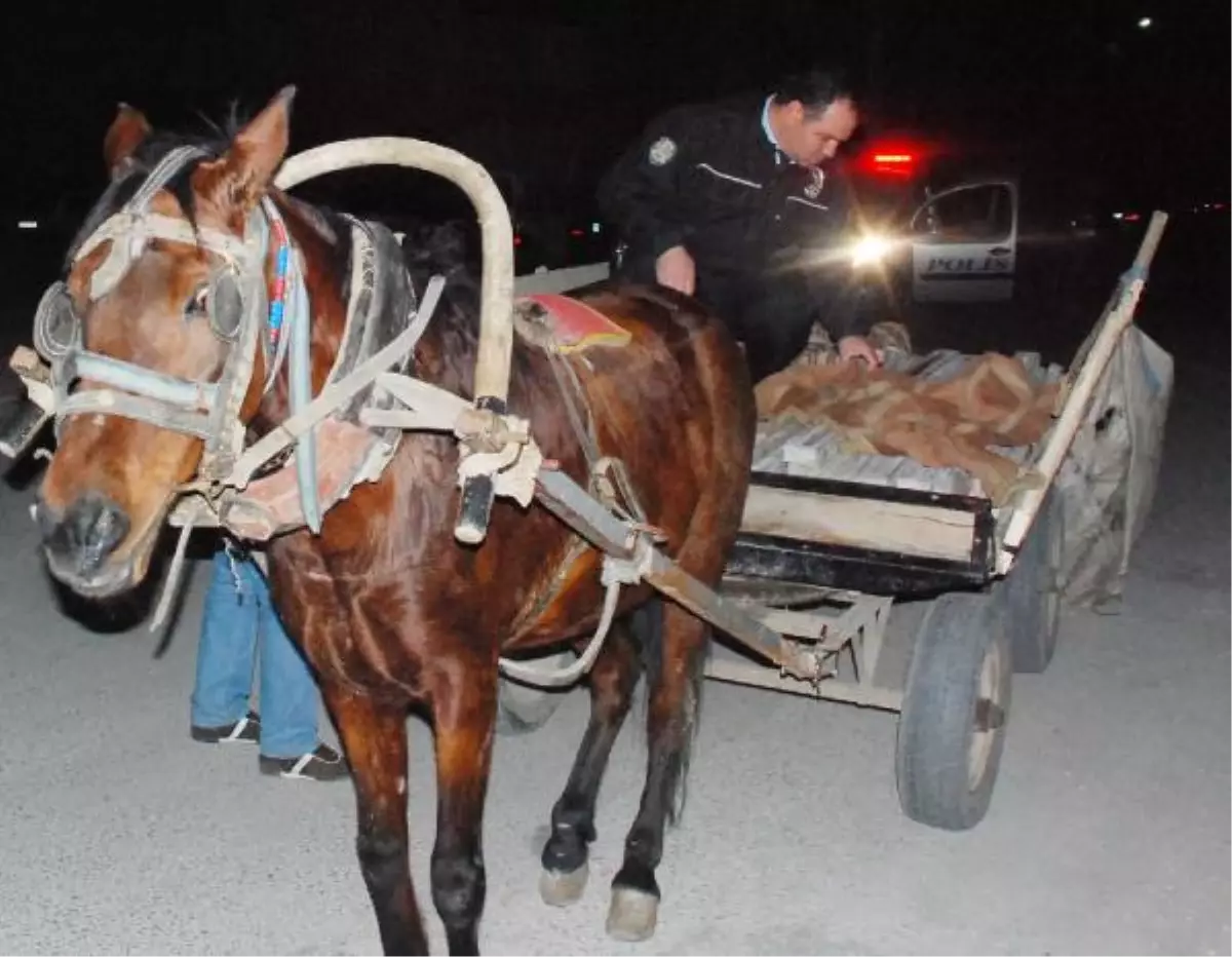 Şüpheli Kadınlar Kaçtı, Terk Edilen At Arabası Karakola Getirildi