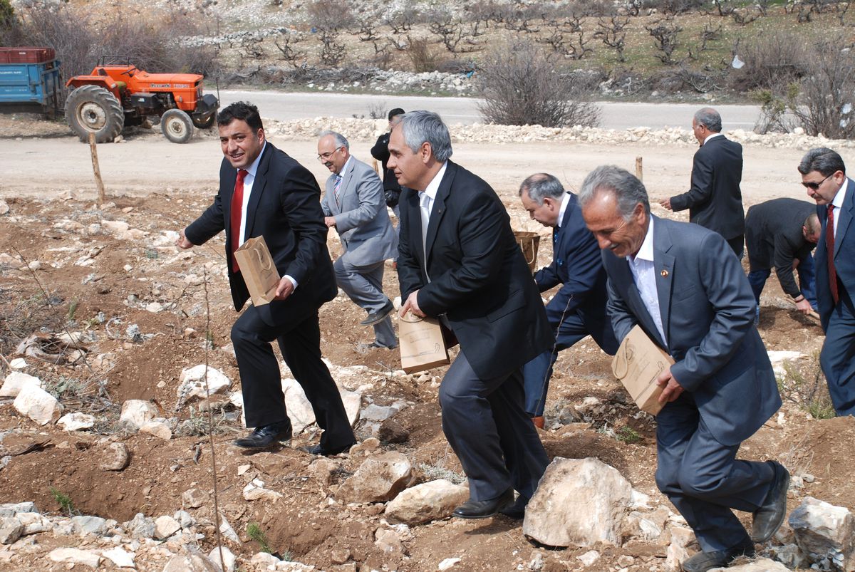 Bal Ormanı Arıcıları Sevindirdi