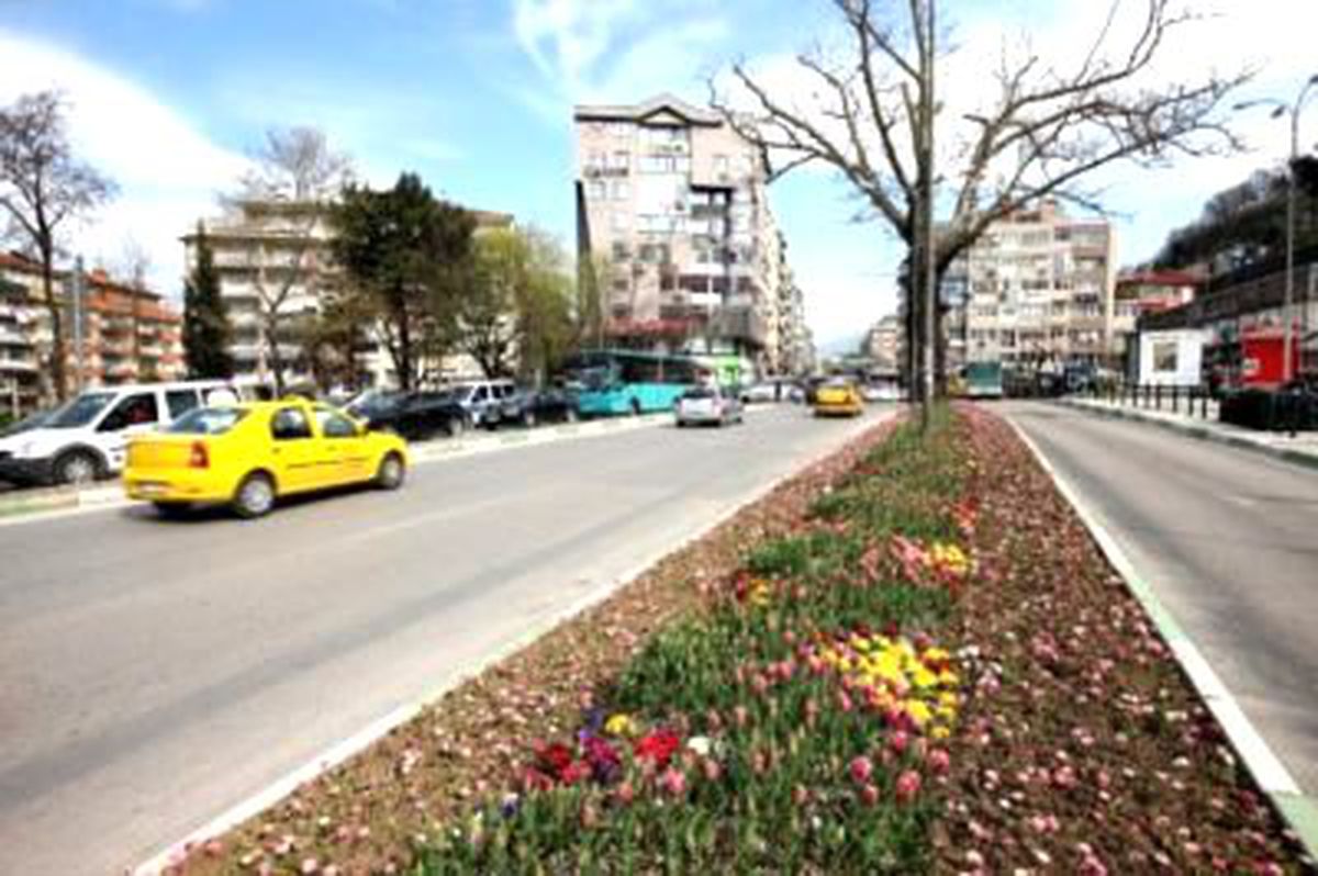 Bursa\'ya Dikilen 1 Milyon 100 Bin Çiçek Açtı