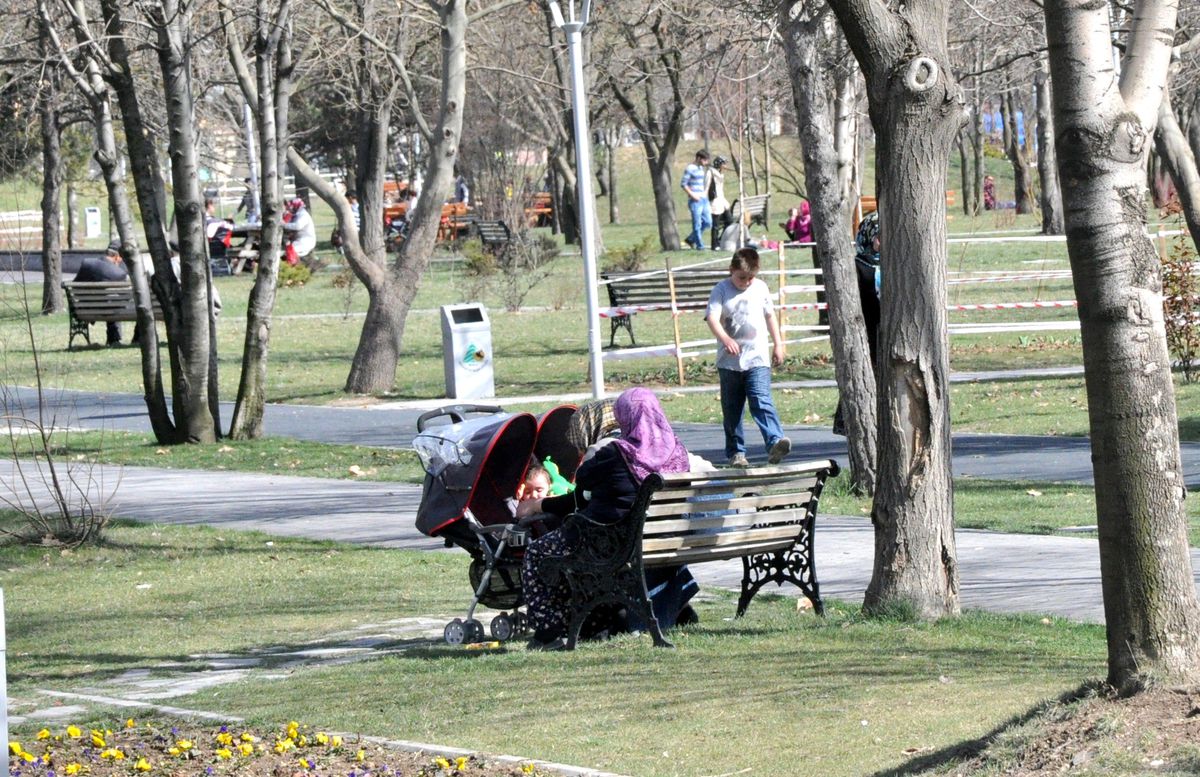İşte Hayat Manzarası