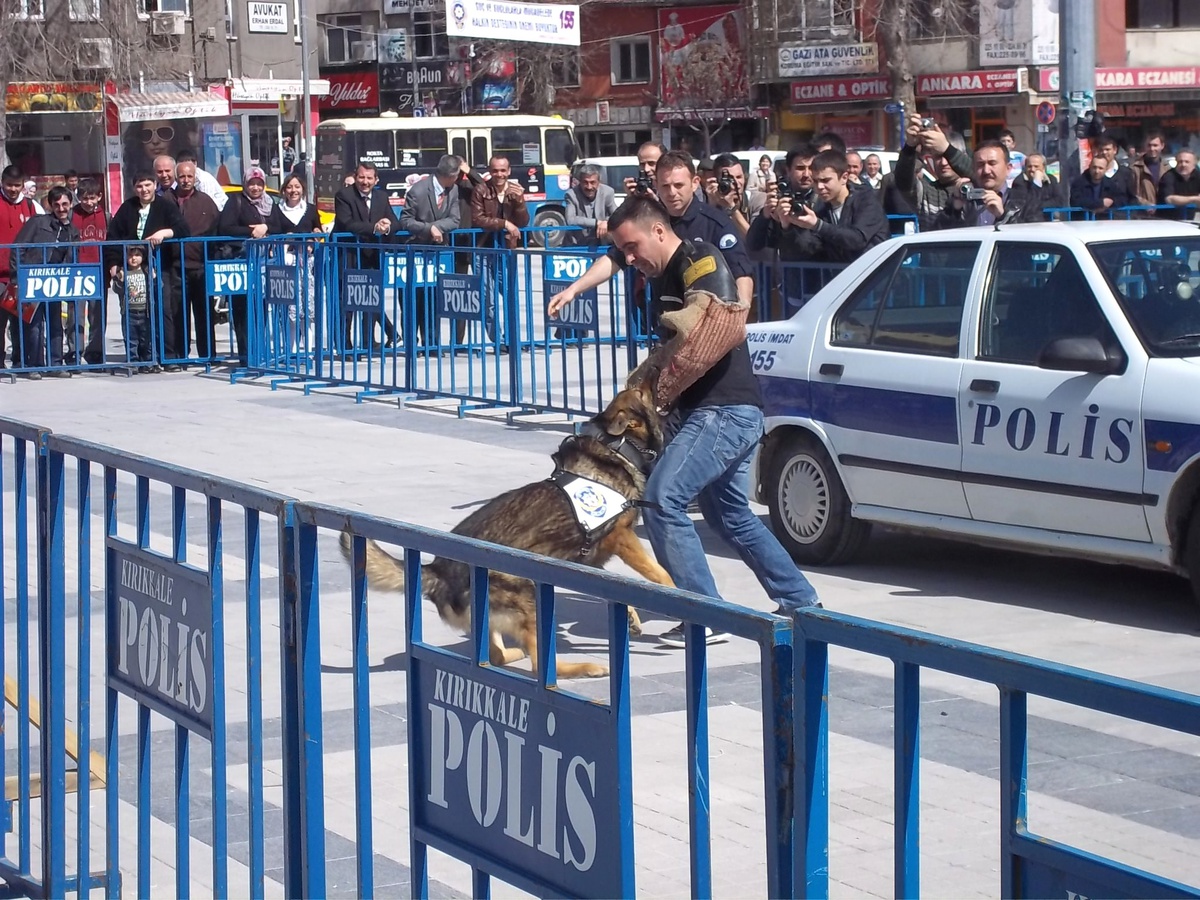 Kırıkkale\'de Polis Köpeklerinin Gösterisi Büyük İlgi Gördü