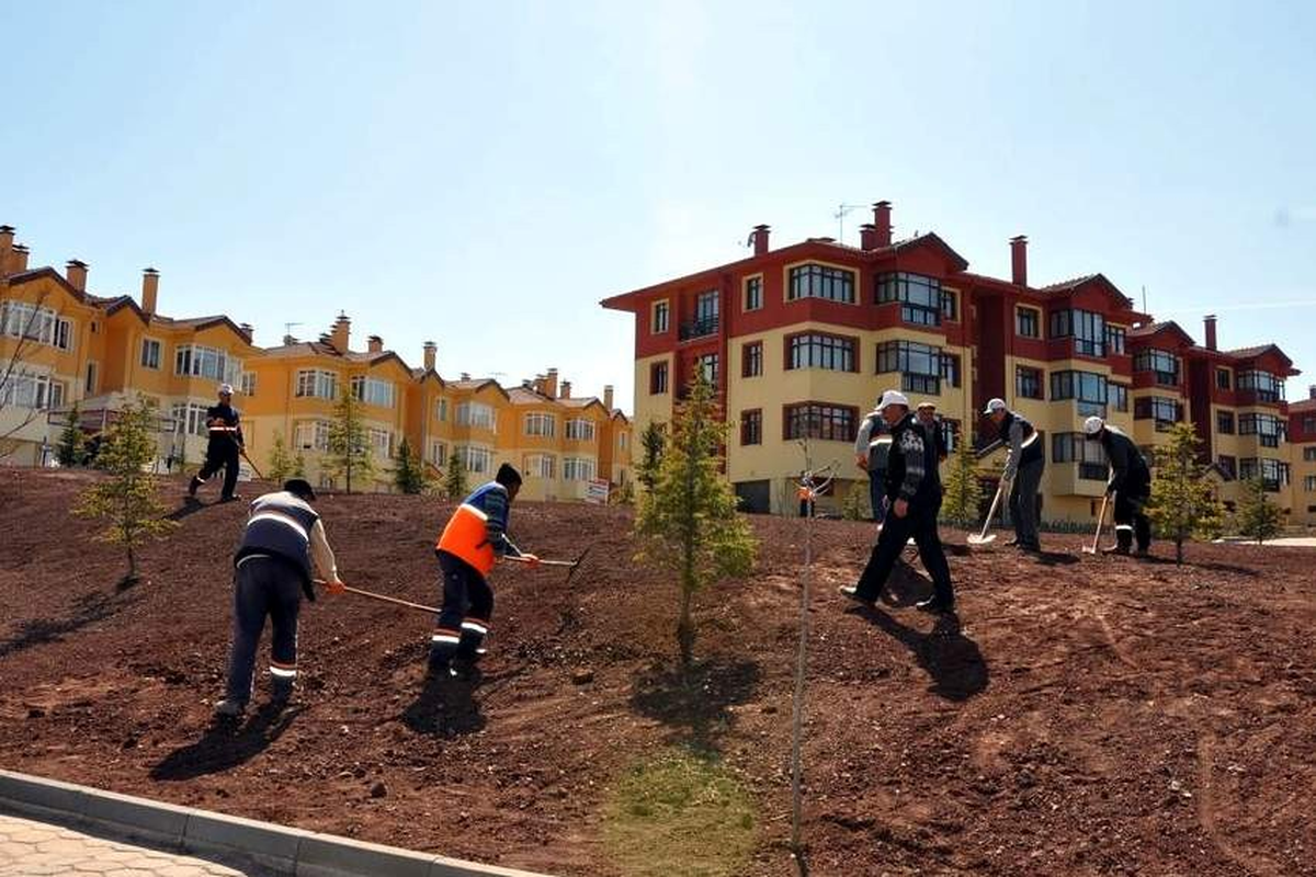 Odunpazarı Yeşile Bürünüyor