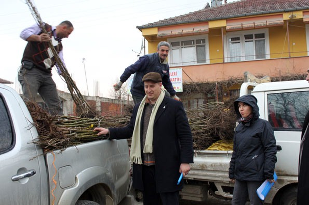 Akçakoca ve Yığılca'da Çiftçilere Meyve Fidesi Dağıtıldı