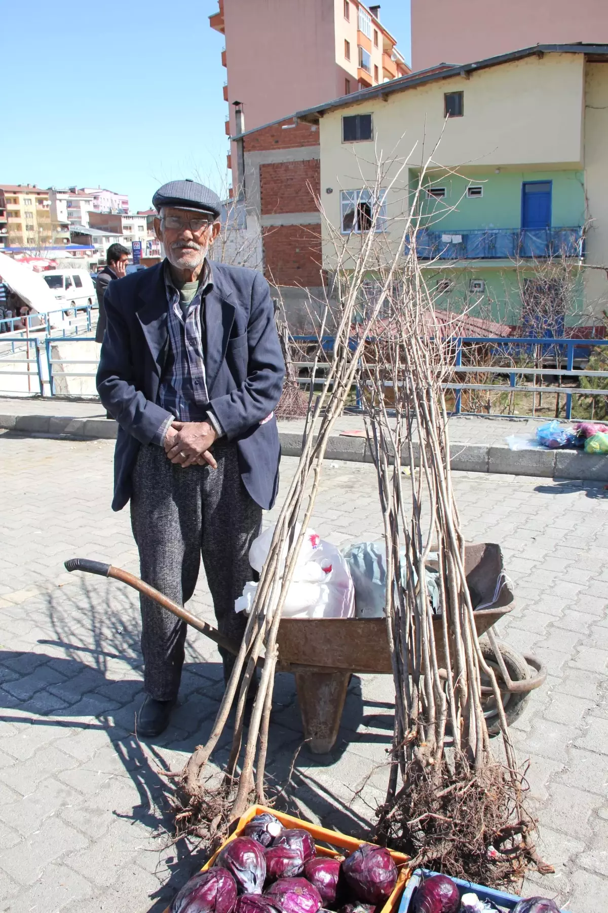 Fidanlar Pazara Çıktı