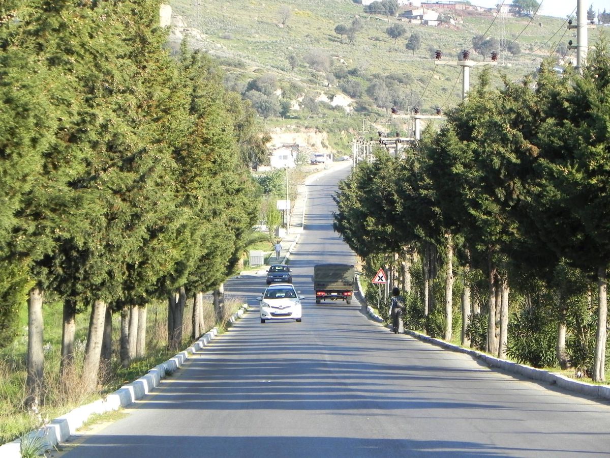 Foça\'ya Girişler Artık Üç Koldan
