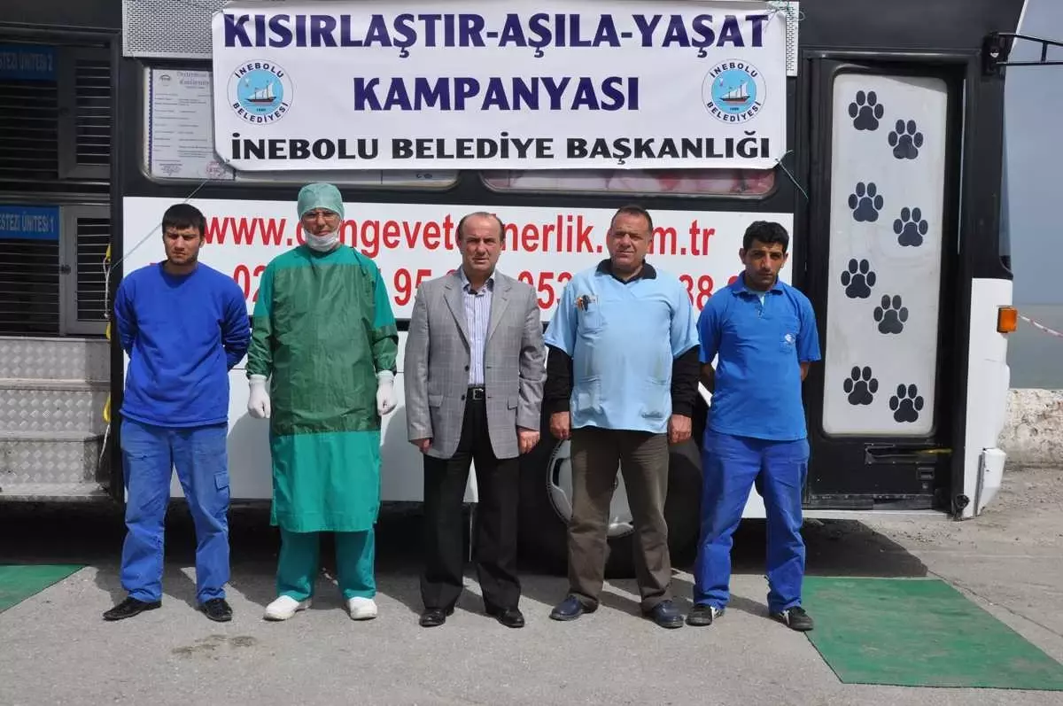 İnebolu Belediyesi, Sokak Hayvanlarını Kısırlaştırdı