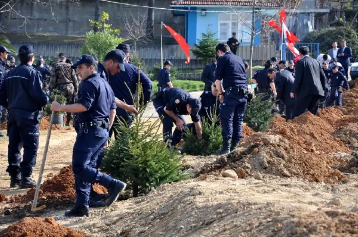 Trabzon\'da Polisler Çam Fidanı Dikti