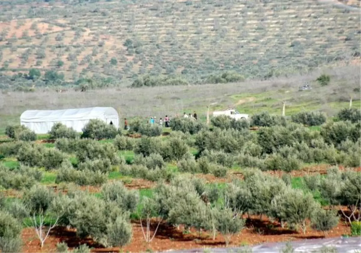 Çatışmalardan Kaçan Suriyeliler\'in Akını Sürüyor