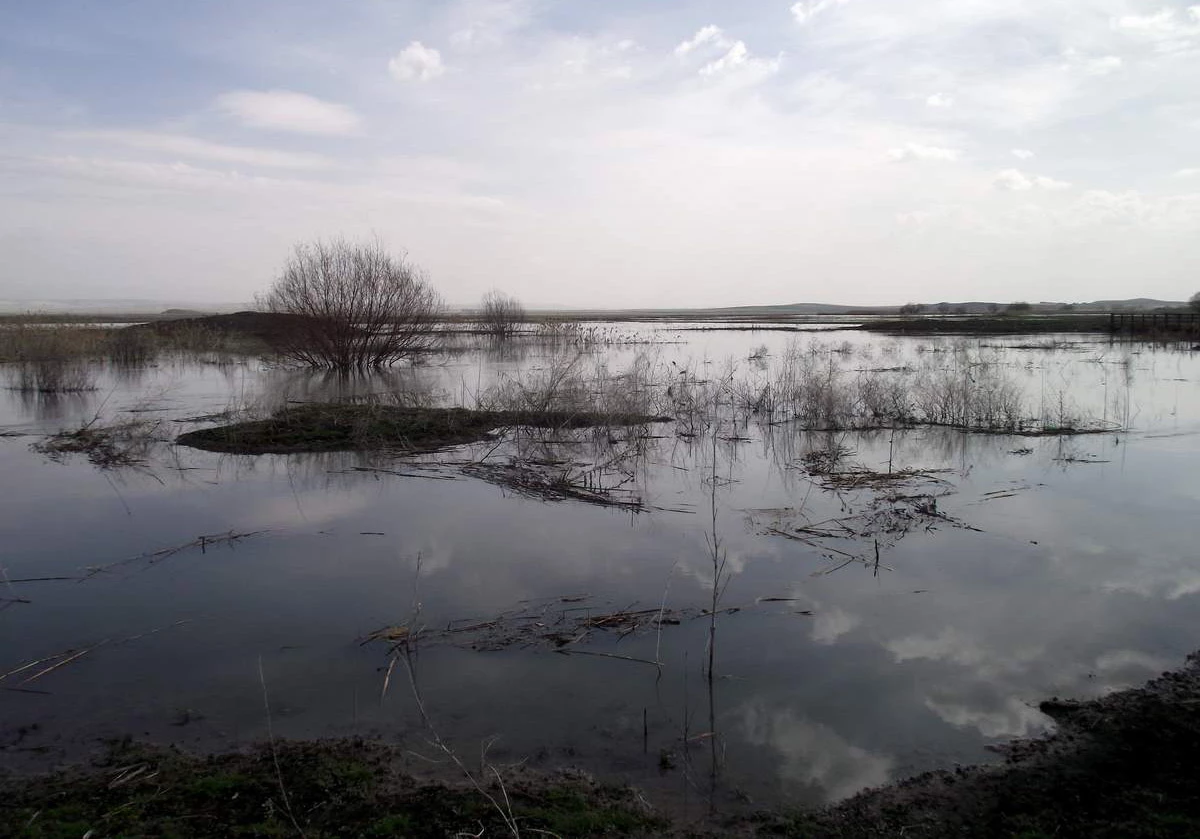 Eskişehir\'de 7 Bin Dönümlük Ekili Arazi Sular Altın Kaldı