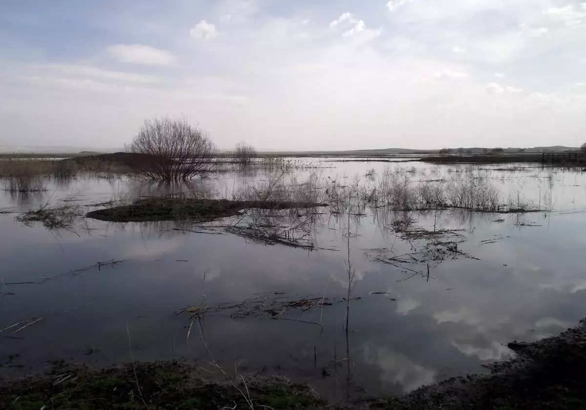 Eskişehir'de 7 Bin Dönümlük Ekili Arazi Sular Altın Kaldı