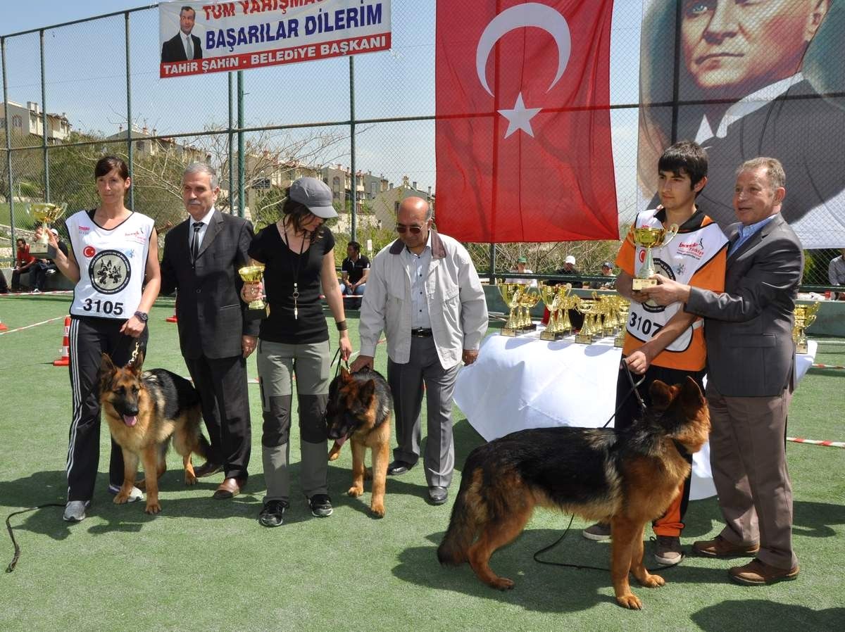 Alman Kurtları Menemen'de Yarıştı