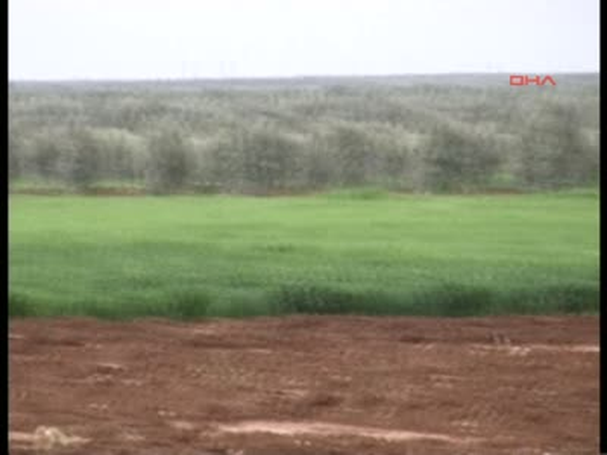 Kilis Suriye Tarafındaki Yoğun Silah Sesleri Kilis\' İn Öncüpınar İlçesi\'nde Duyuluyor Ek