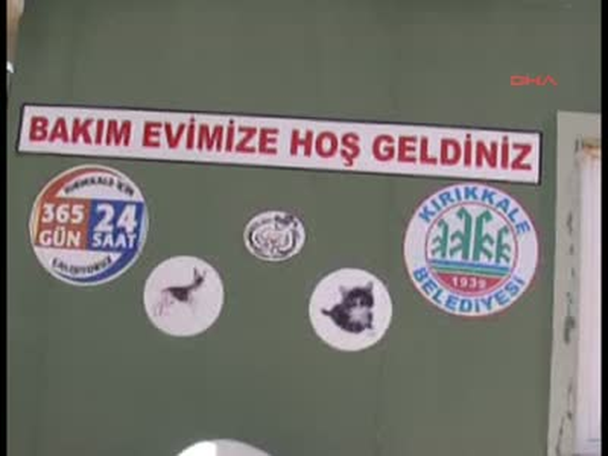 Yiyecek Toplayıp Hayvanlara Yedirdiler