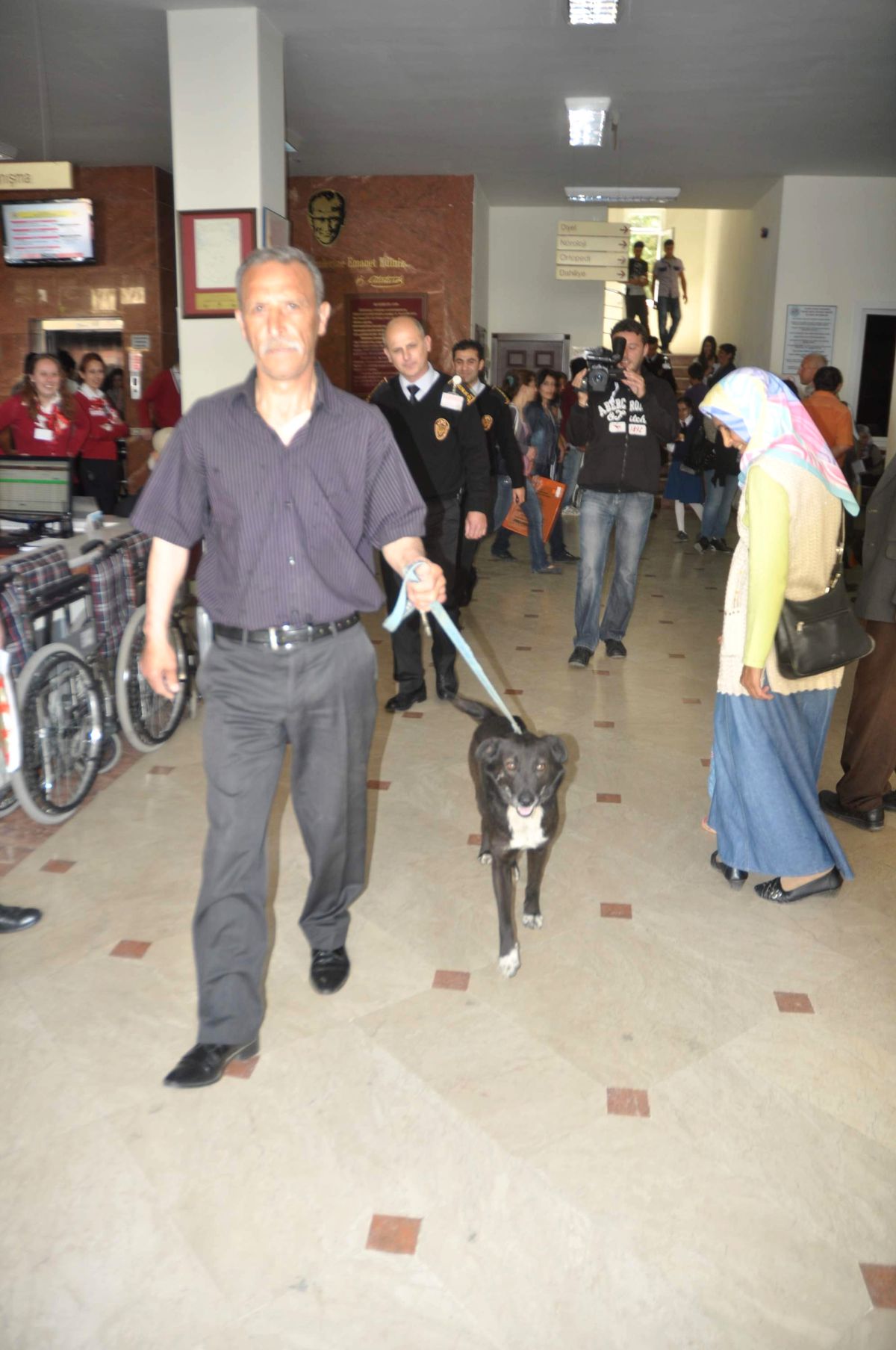 Başıboş Köpek Paniğe Neden Oldu