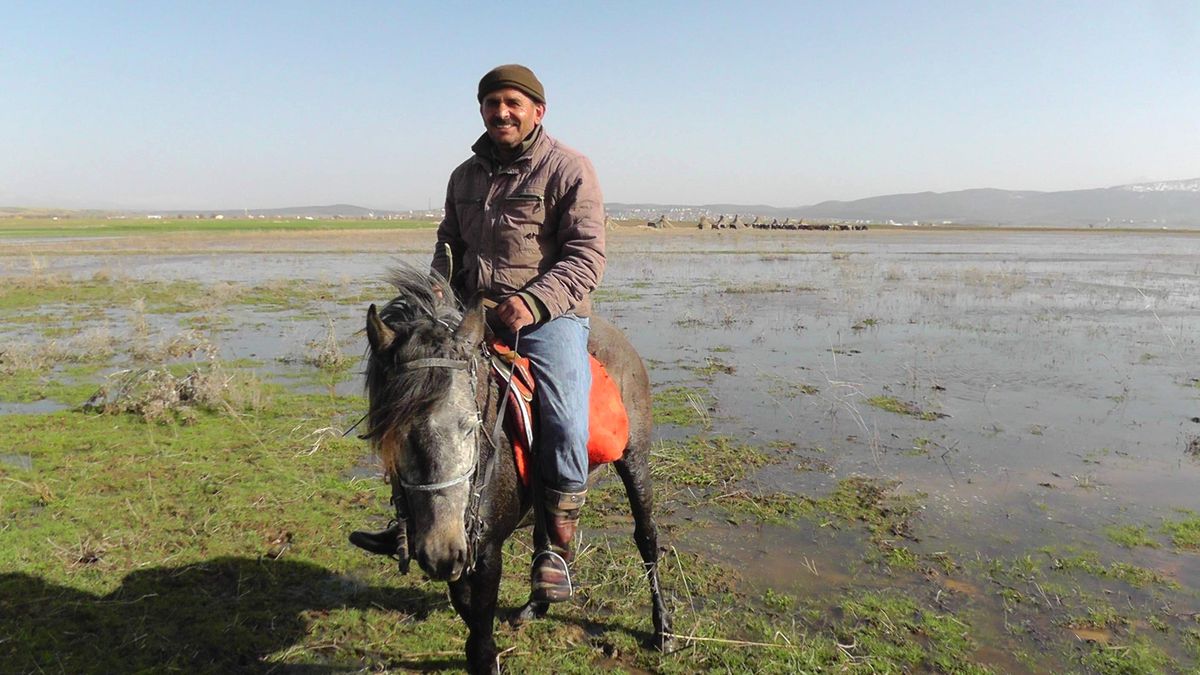 Beyşehir Gölü Suları Yükseldi, Otlaklar Sular Altında Kaldı