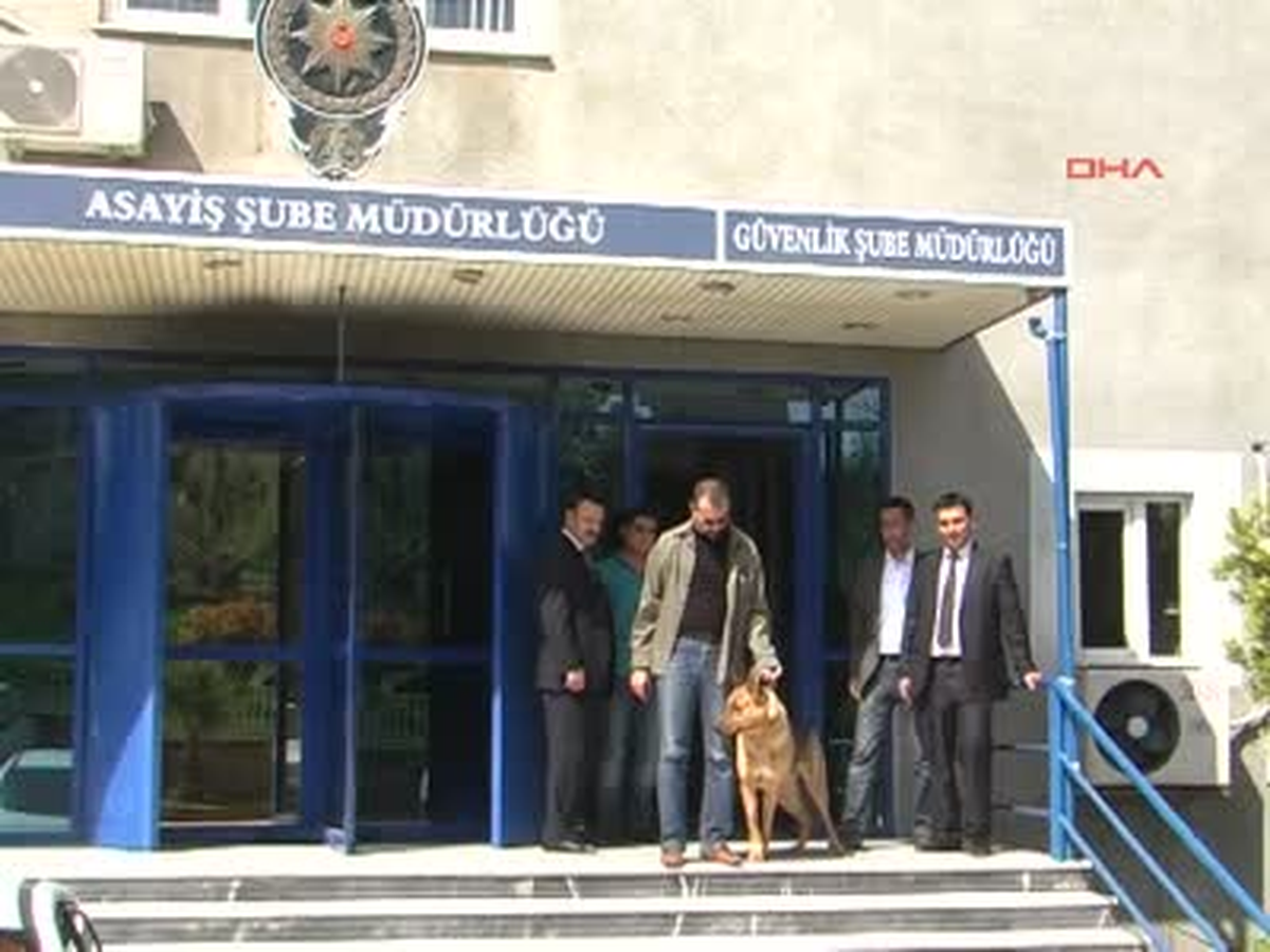 Eşiyle Bir Olup, Baldızını Gasp Etti