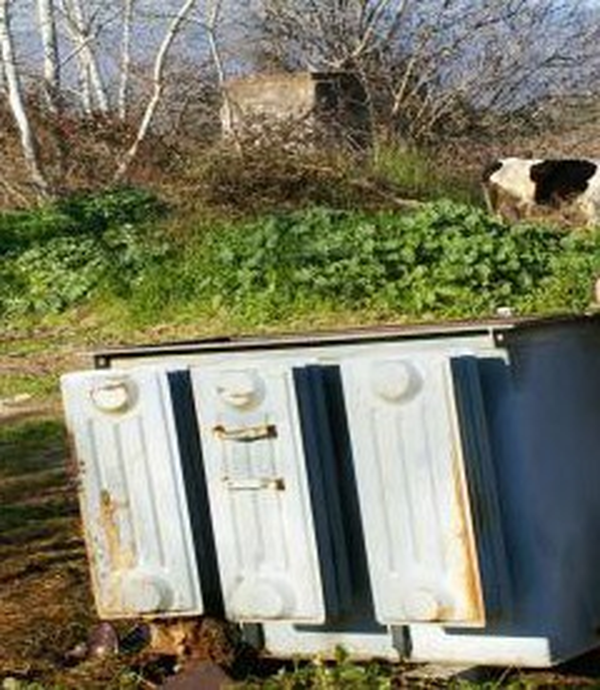 Kula\'da İki Trafodan 300 Litre Yağ Çaldılar