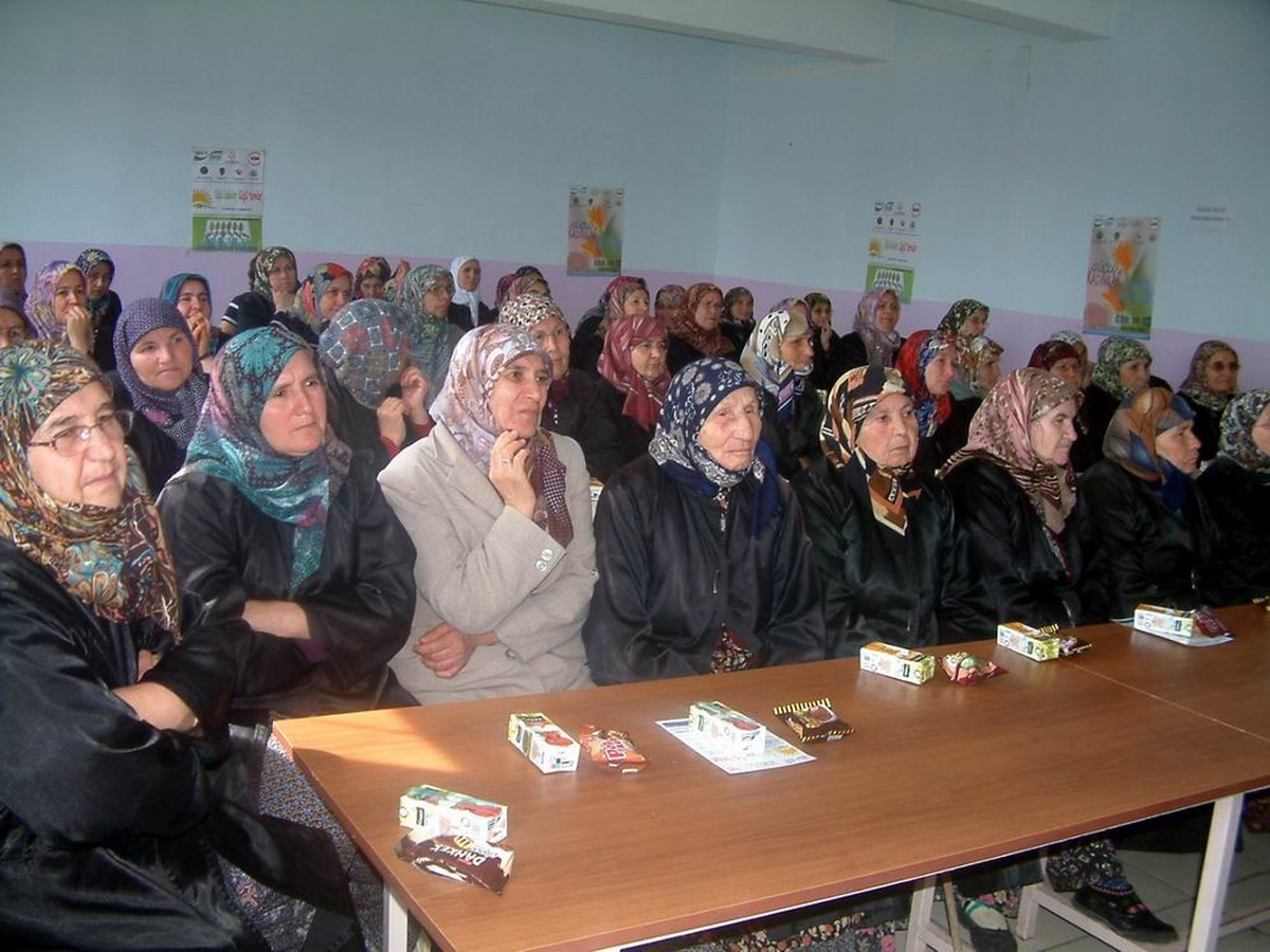 Balya'da Kadına Şiddetin Önlenmesi İçin Köylerde Eğitim Çalışması Başlatıldı