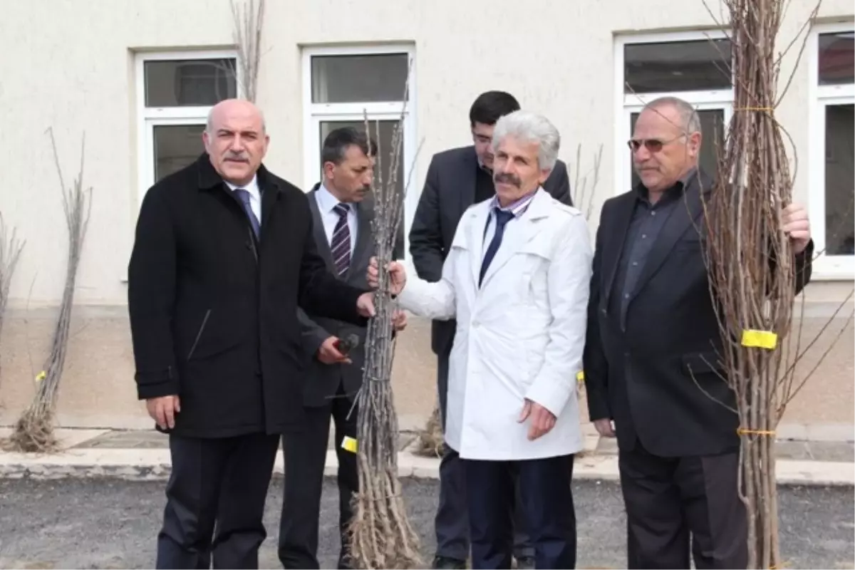 Bayburtlu Çiftçilere Meyve Fidanı Dağıtıldı