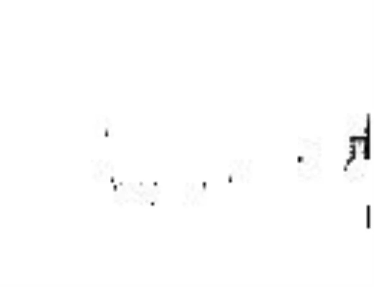 Dikkati Ölçmeyi Öğrendiler...