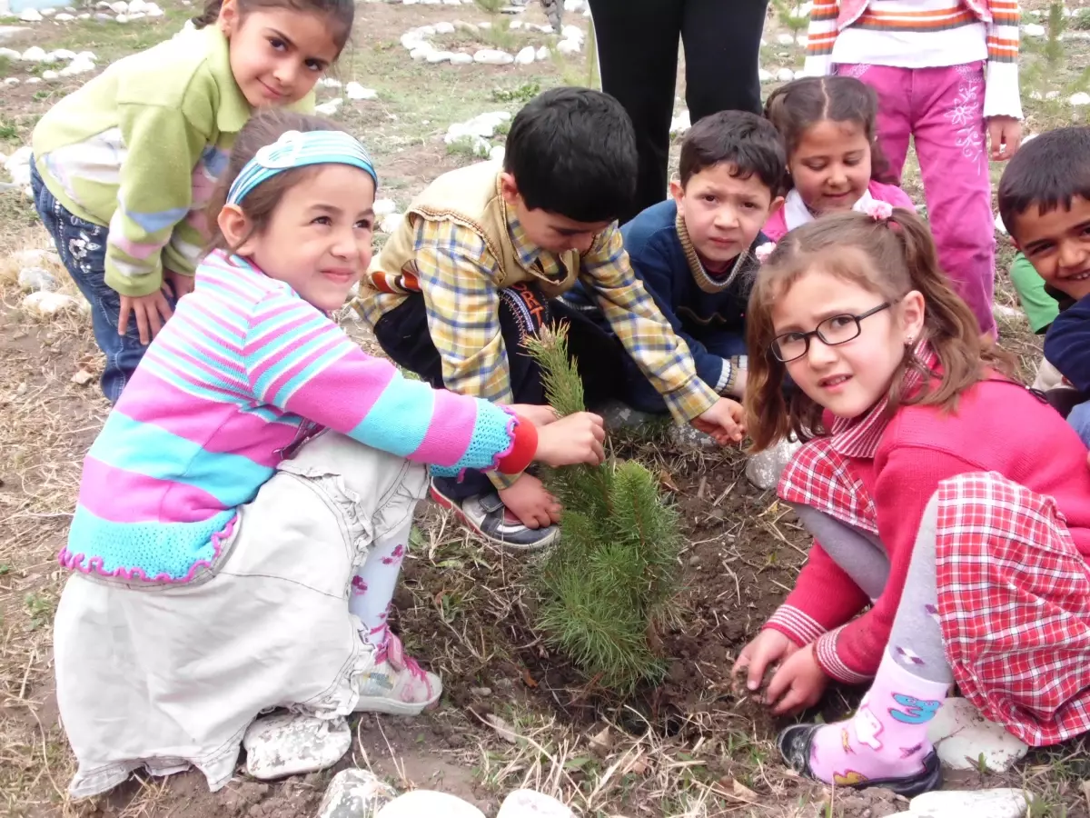 Iğdır\'da Minik Eller Fidan Dikti