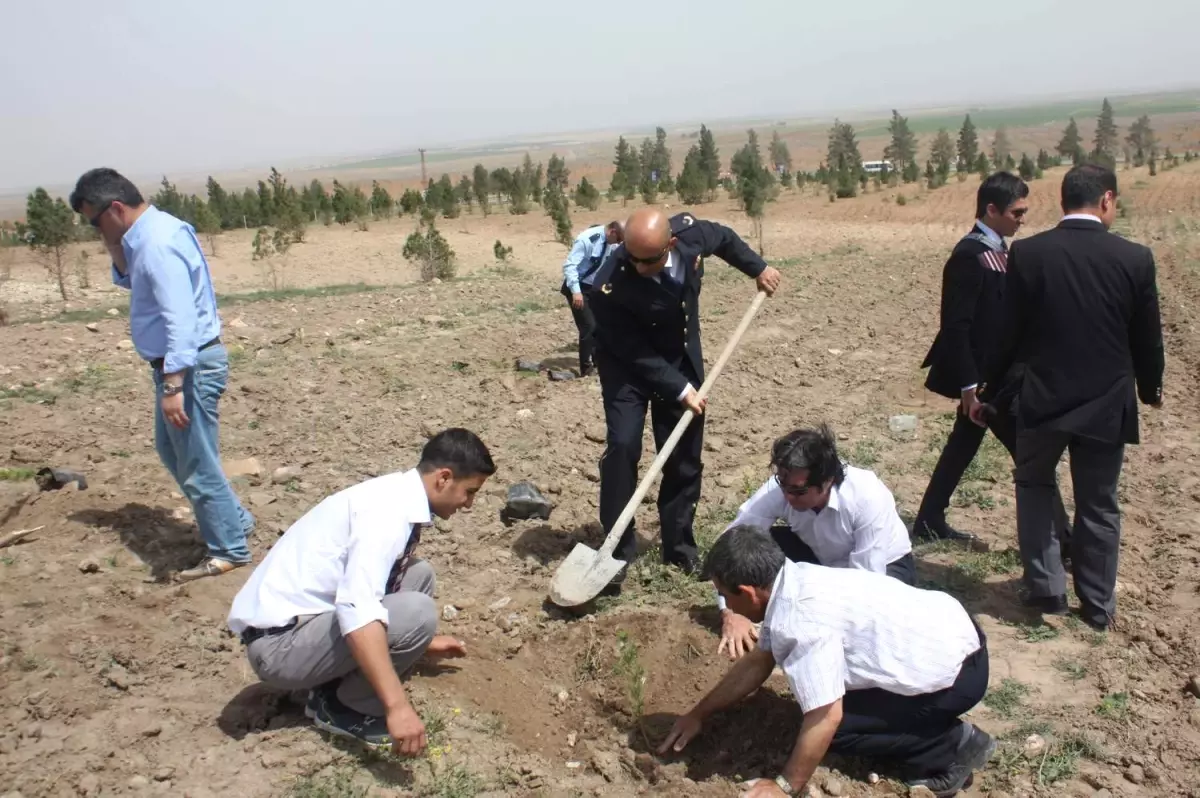 Öğrenciler Polislerle Birlikte Fidan Dikti