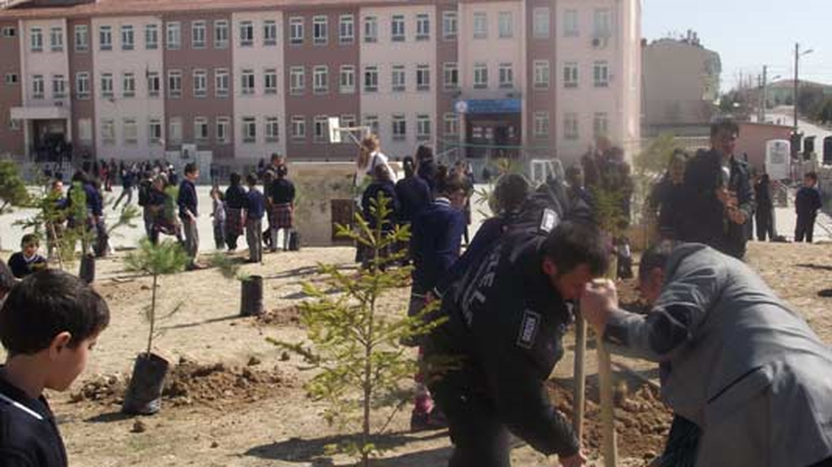 Okulda Fidan Dikimi Yapıldı